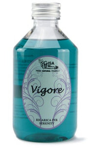 VIGORE 250ML-1
