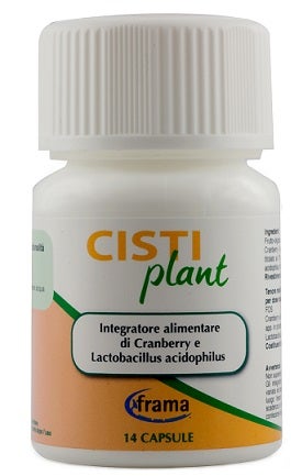 CISTIPLANT 14CPS 9G-1