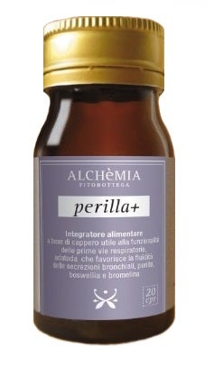 PERILLA+ 20CPR-1