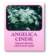 DR POCK ANGELICA CINESE 50CPS-1