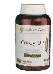 CORDY UP 90MAXI CPS-1