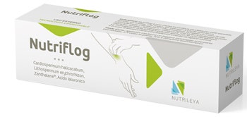 NUTRIFLOG LIPO ANTINF/PRURIG  - 1
