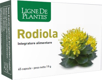 RODIOLA 45CPS-1