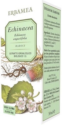 ECHINACEA ANGUSTIFOLIA 50ML-1