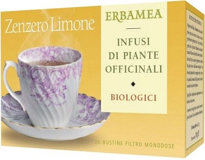 ZENZERO/LIM BIO 20BUSTINE-1