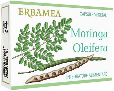 MORINGA OLEIFERA 24CPS-1