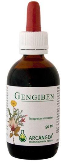 GENGIBEN SOL IAL 50ML-1