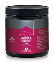 TERRANOVA SUPER SHAKE INT BERR-1
