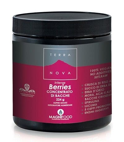 TERRANOVA SUPER SHAKE INT BERR-2