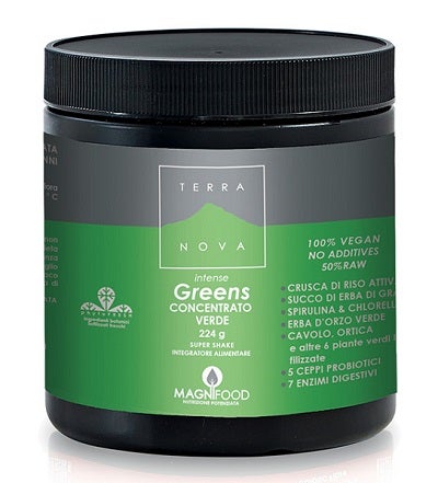 TERRANOVA SUPER SHAKE INT GREE-1