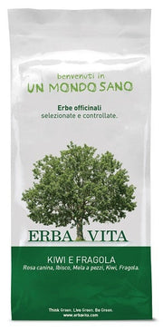 FRUIT TEA INFUSO KIWI/FRA 100G-1