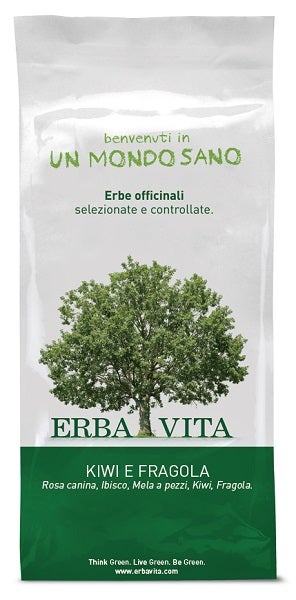 FRUIT TEA INFUSO KIWI/FRA 100G-1