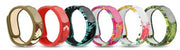 PARAKITO EFAS BRACC GRAF JUN P-1
