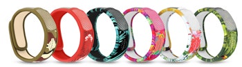 PARAKITO EFAS BRACC GRAF JUN P-1