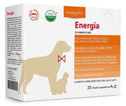 ENERGIA 20BUST 4G-1