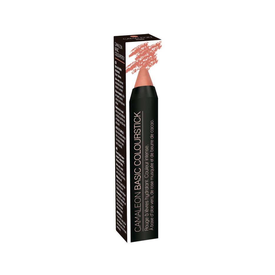 Camaleon Basic Colour Stick Nude 4g - 2