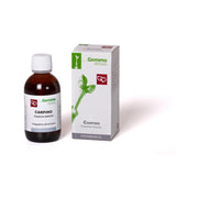 Carpino 50ml Macerato Glicerinato  - 1