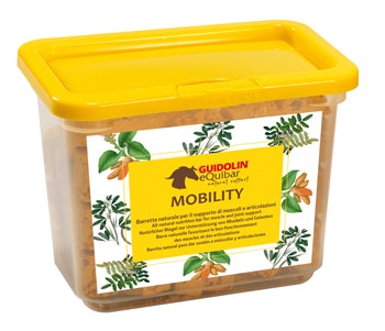 Equibar Mobility 700g-1
