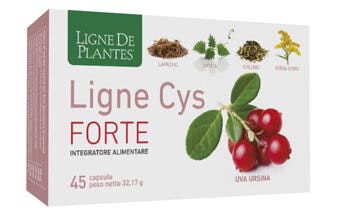 LIGNE CYS FORTE 45CPS-2