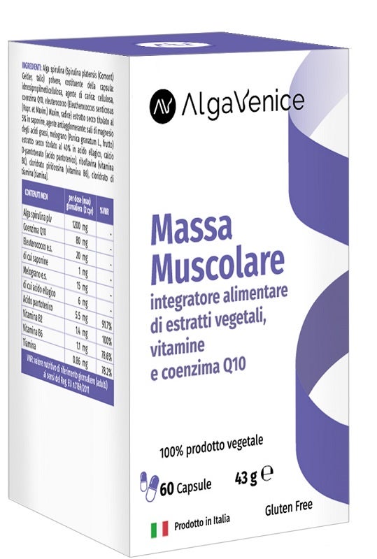 ALGAVENICE MASSA MUSC 60CPS-1