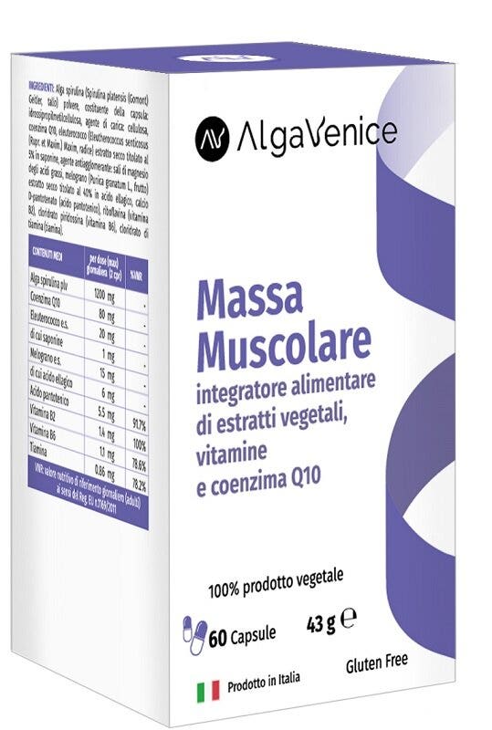 ALGAVENICE MASSA MUSC 60CPS-2