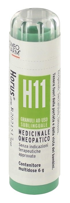 HORUS H11 GR-1