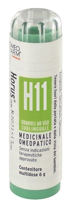 HORUS H11 GR-2