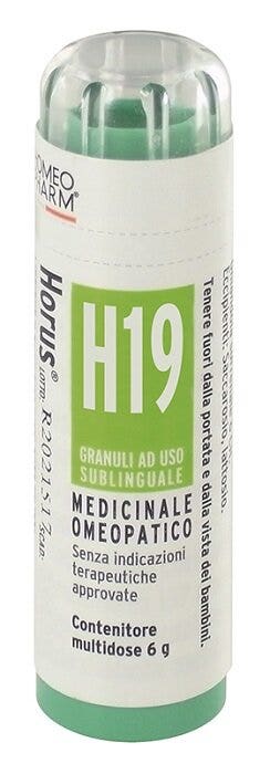 HORUS H19 GR-2