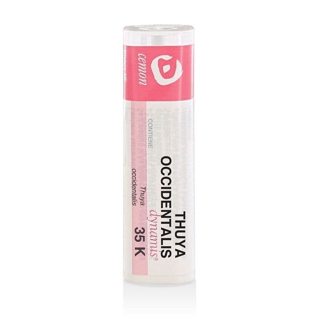THUYA OCCIDENT 35K GR-2