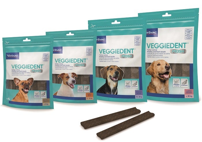 VEGGIEDENT FR3SH XS 15STICK-1