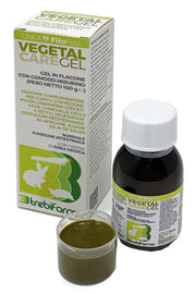 VEGETAL CARE GEL 100G-1