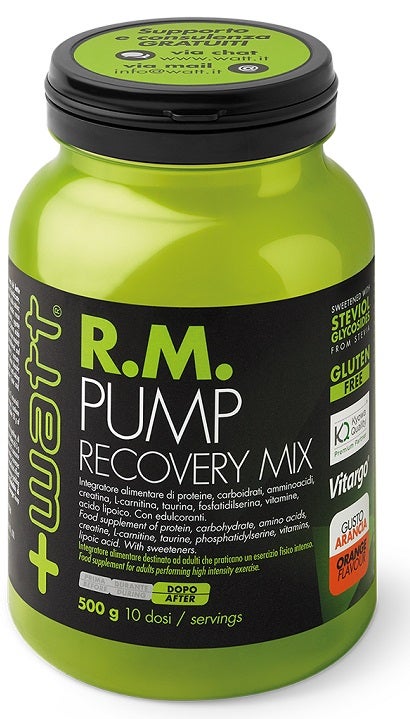 RM PUMP RECOVERY MIX ARA 500G-1