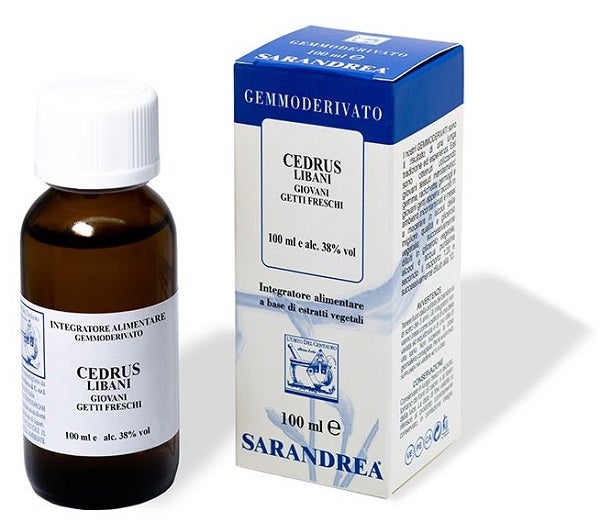 EXTRAGEM CEDRO LIBANO GIOVANI-1