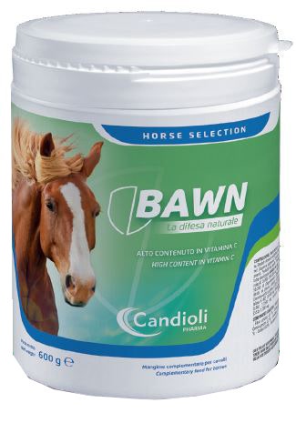 BAWN 600G-1