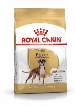 BREED HN BOXER ADULT 12KG-2
