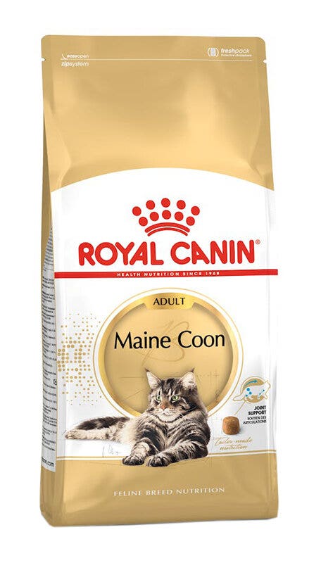 FELINE BN MAINE COON AD 31 4KG-2