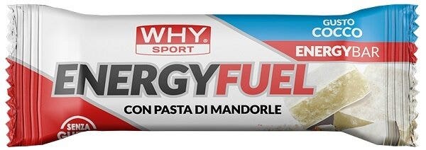 WHYSPORT ENERGY FUEL COCCO 30G-1