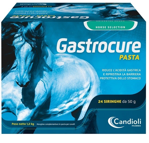 Candioli Gastrocure Pasta Per Cavalli 24 Siringhe Da 50g-1