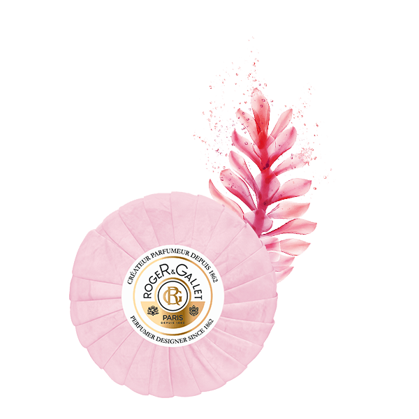 Gingembre Rouge Saponetta 100g - 3