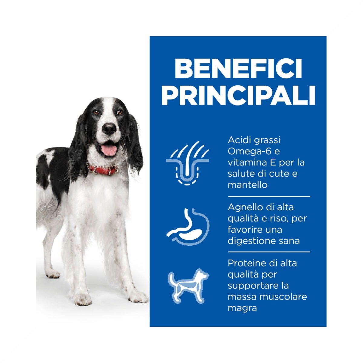 Hill's Science Plan Medium Adult Crocchette con Agnello e Riso per Cani  Sacco 14 Kg-3