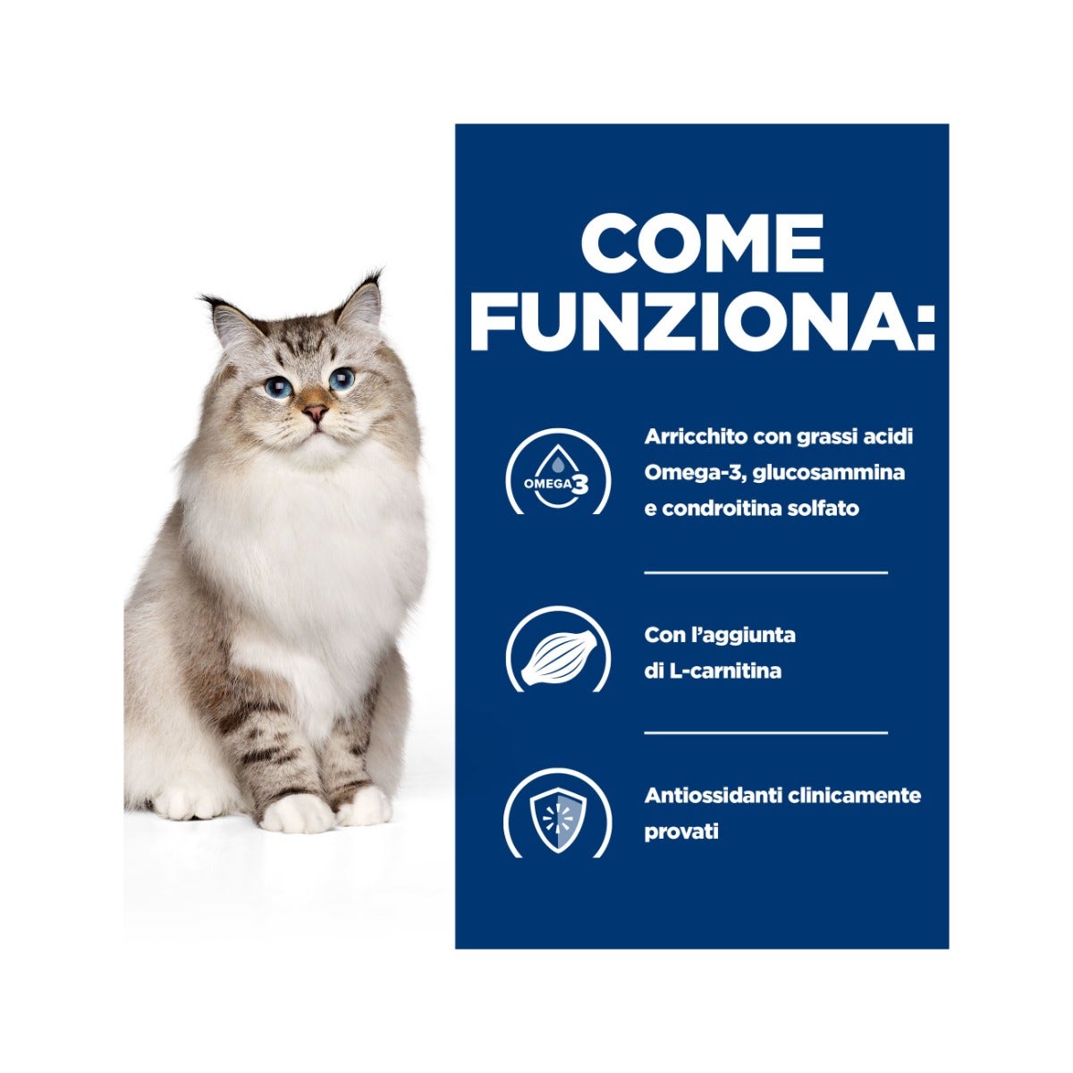 Hill's Prescription Diet J/D Mobility Crocchette Al Pollo Per Gatti Sacco 1,5kg-9
