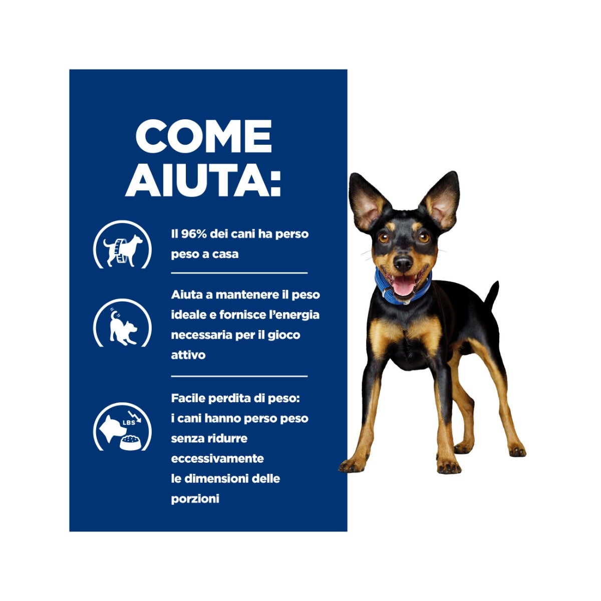 Hill's Prescription Diet Metabolic Crocchette Al Pollo Per Cani Taglia Mini Sacco 1kg-6
