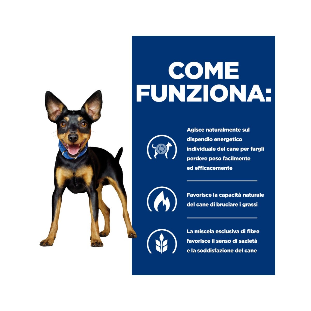 Hill's Prescription Diet Metabolic Crocchette Al Pollo Per Cani Taglia Mini Sacco 3kg-3
