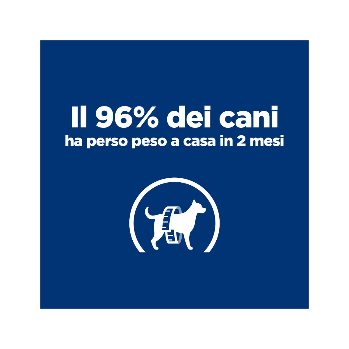 Hill's Prescription Diet Metabolic Crocchette Al Pollo Per Cani Taglia Mini Sacco 1kg-16