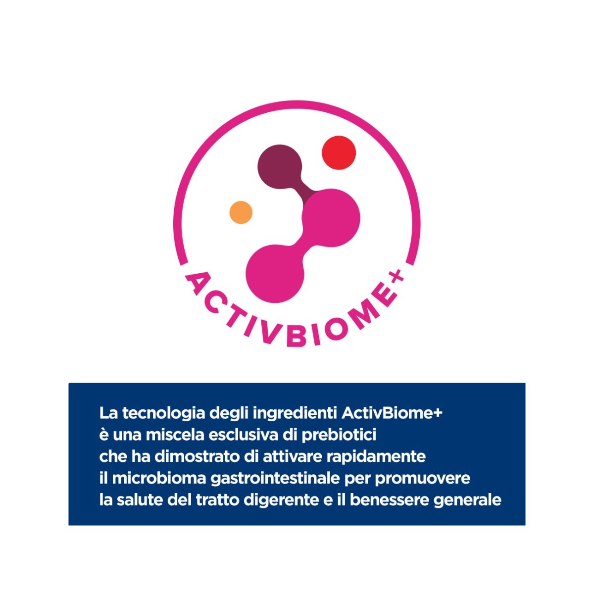 Hill's Prescription Diet Z/D Food Sensitivities Crocchette Per Gatti Sacco 6kg-17