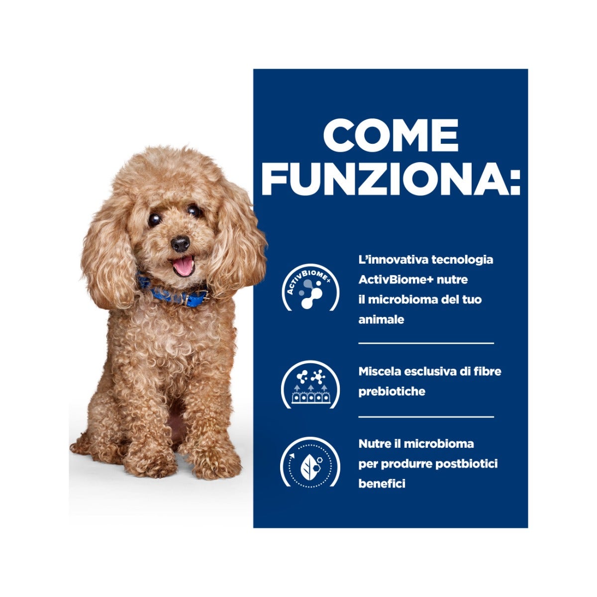 Hill's Prescription Diet Mini Gastrointestinal Biome Crocchette Per Cani Taglia Piccola Sacco 6Kg-3
