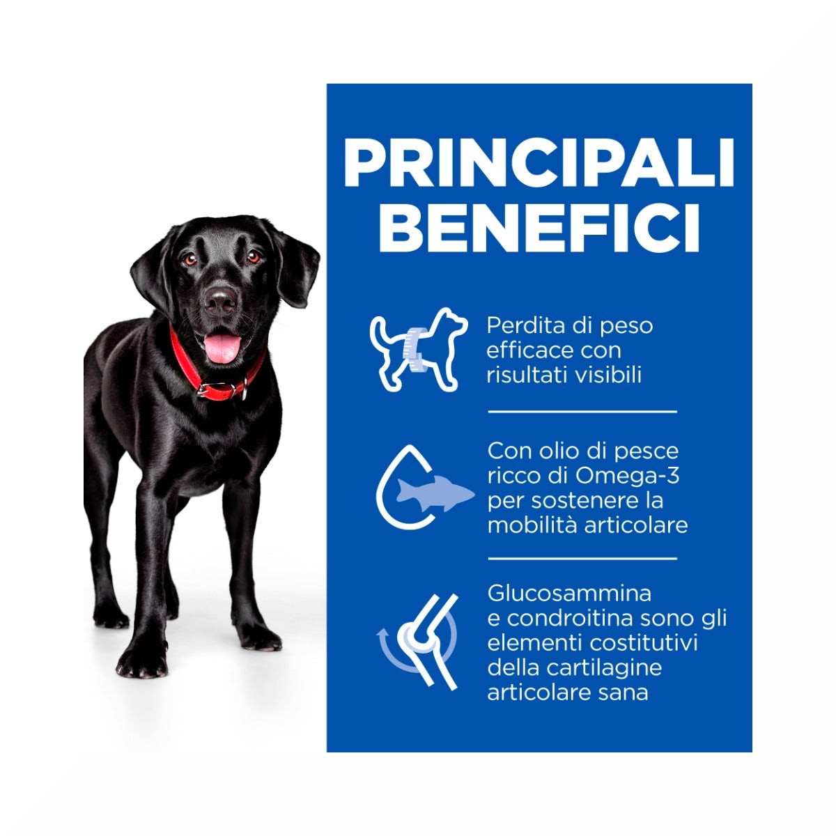 Hill's Science Plan Perfect Weight & Active Mobility Adult Crocchette Con Pollo Per Cani Taglia Grande Sacco 12 Kg-5