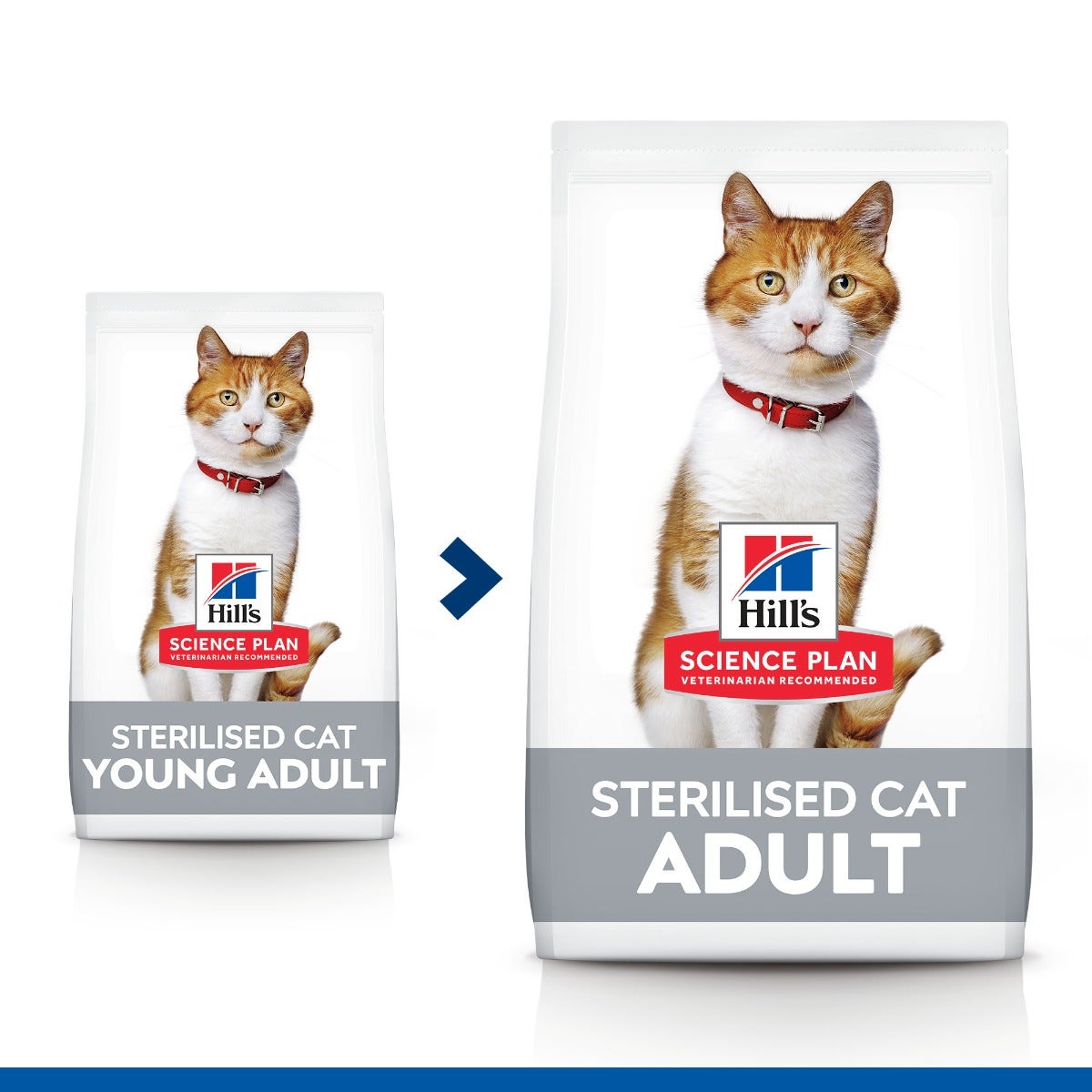 Hill's Science Plan Sterilised Cat Adult Crocchette Per Gatti Con Pollo 10 Kg-7