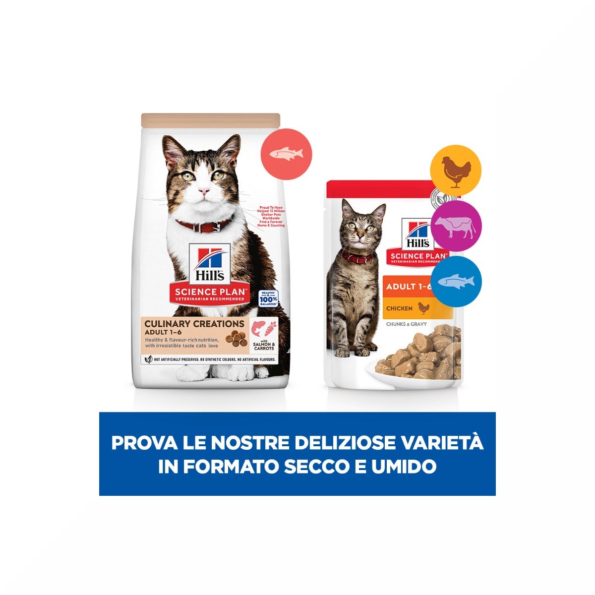 Hill's Science Plan Culinary Creations Medium Adult Crocchette per Gatti con Salmone E Carote 10kg-7