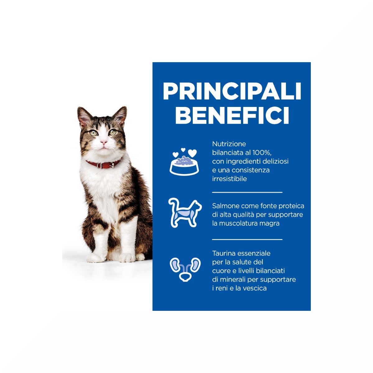 Hill's Science Plan Culinary Creations Medium Adult Crocchette per Gatti con Salmone E Carote 10kg-4